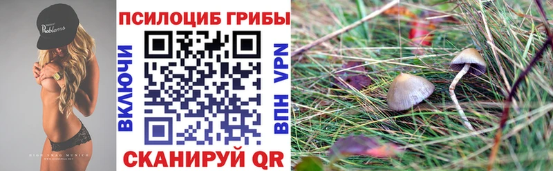 мега   Разумное  Галлюциногенные грибы мухоморы 